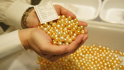 深珠宝展销会嘉年华隆重开幕,国际珍珠看货会现场火爆